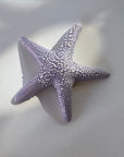 Purple Starfish Hanging Wall Decor