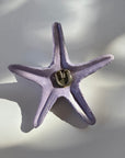 Purple Starfish Hanging Wall Decor