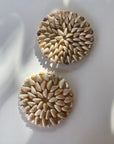 Paradise Seashell Coasters
