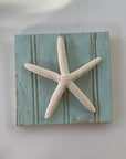 Starfish Frame Hanging Wall Decor