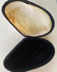 Abalone Shell Jewelry box / decor