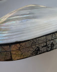 Abalone Shell Jewelry box / decor