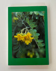 “Hawaiian Heritage Plants” Paperback book