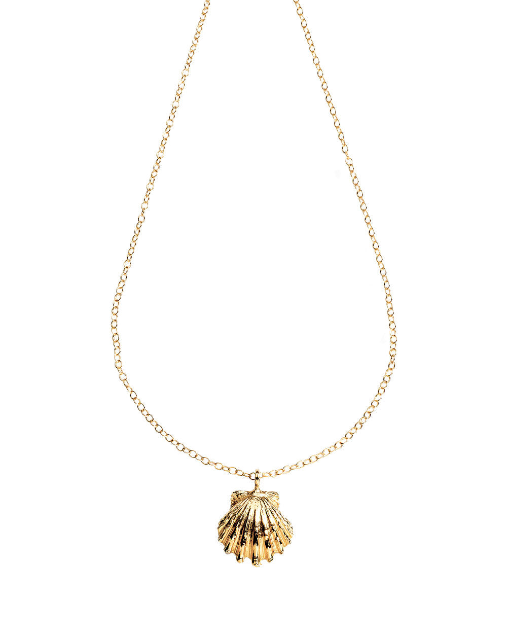 Golden Sunrise Shell necklace