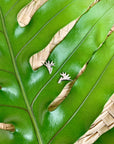 Bird of Paradise Flower studs