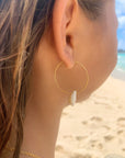 Cowrie Seashell Open Classic Hoop earrings