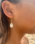 Cowrie Seashell Open Classic Hoop earrings