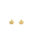 Hawaiian Fan-Flower Naupaka studs
