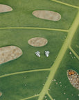 Manoa Monstera studs