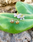 Hawaiian Fan-Flower Naupaka studs