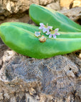 Hawaiian Fan-Flower Naupaka studs