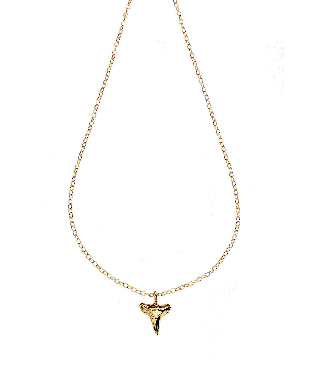Small Shark&#39;s Tooth necklace