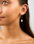 Cowrie Seashell Open Classic Hoop earrings