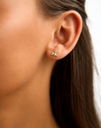 Honey Bee studs