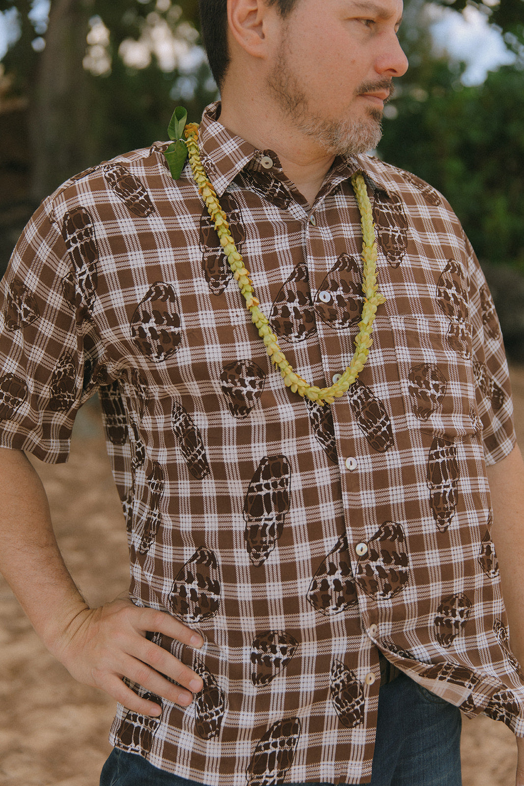 Aloha Shirt Shells