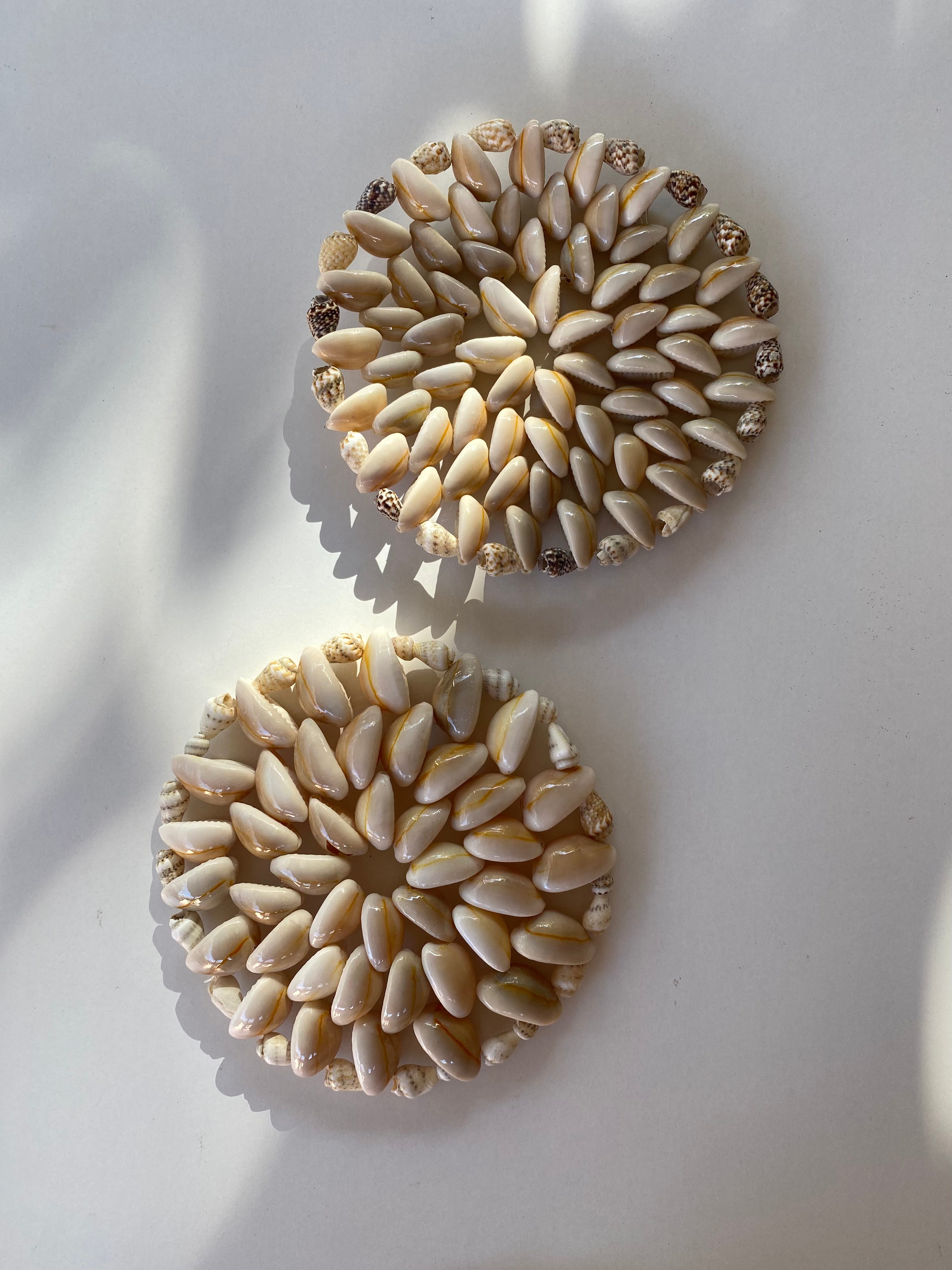 Paradise Seashell Coasters