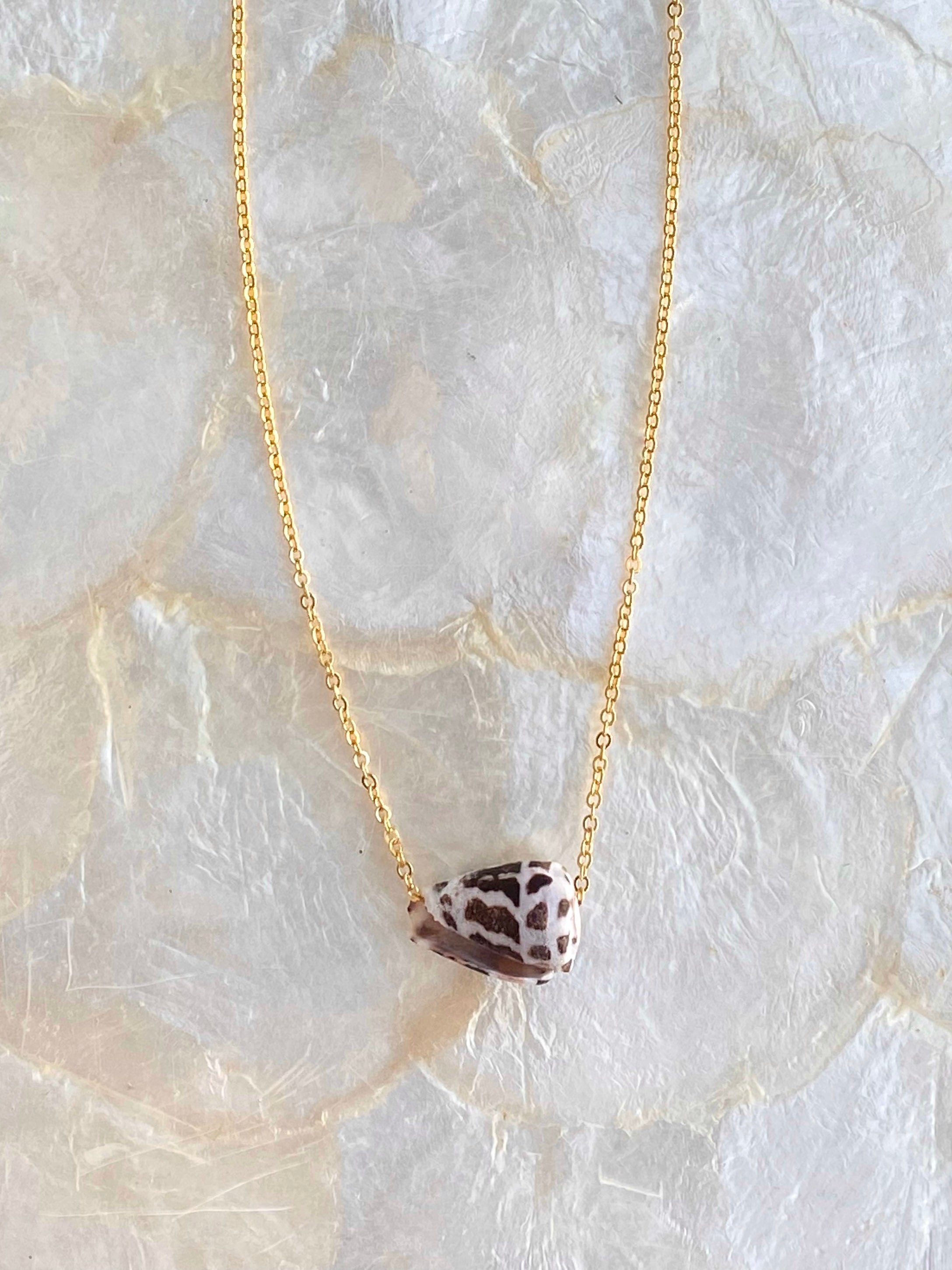 KBay Cone Shell necklace