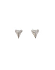 Teeny Shark's Tooth studs