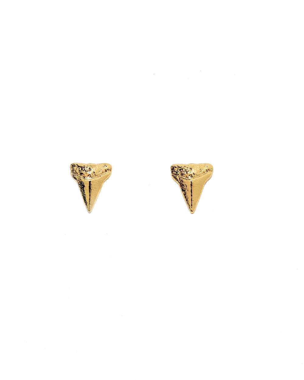 Teeny Shark&#39;s Tooth studs