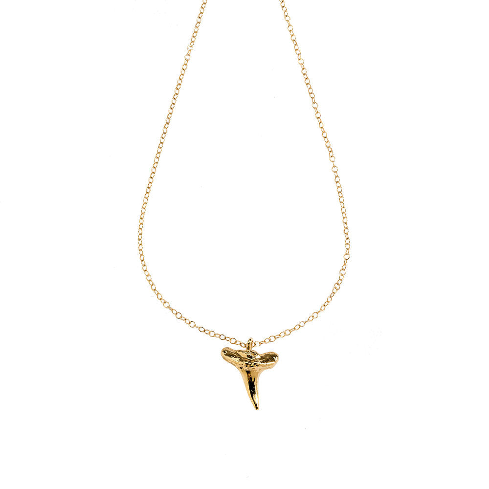 Shark’s Tooth necklace