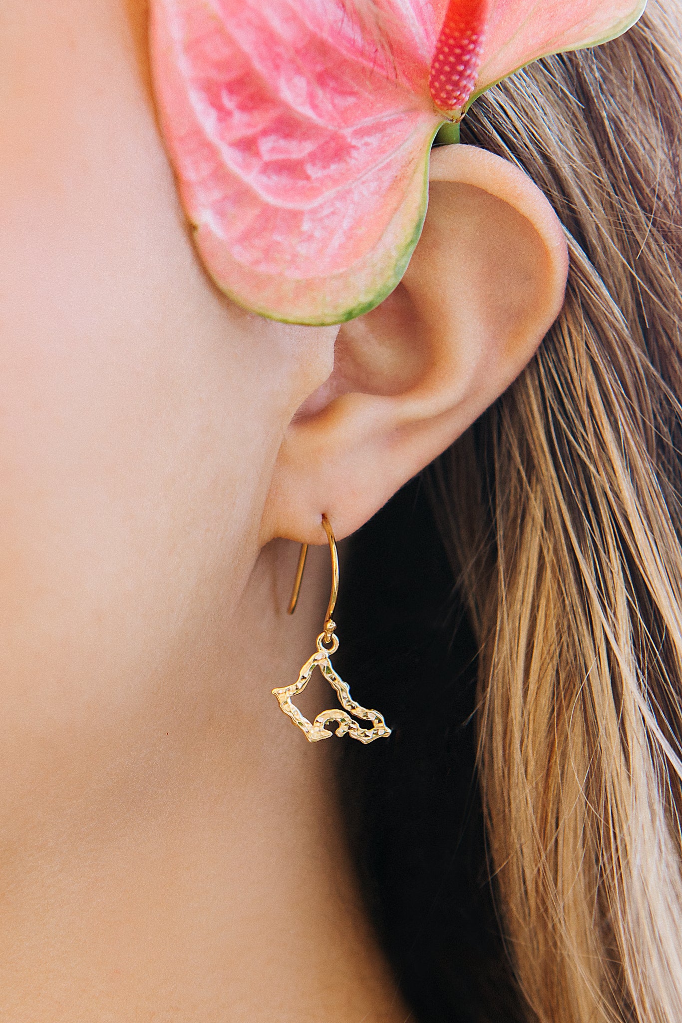 Oahu Petite Silhouette drop earrings