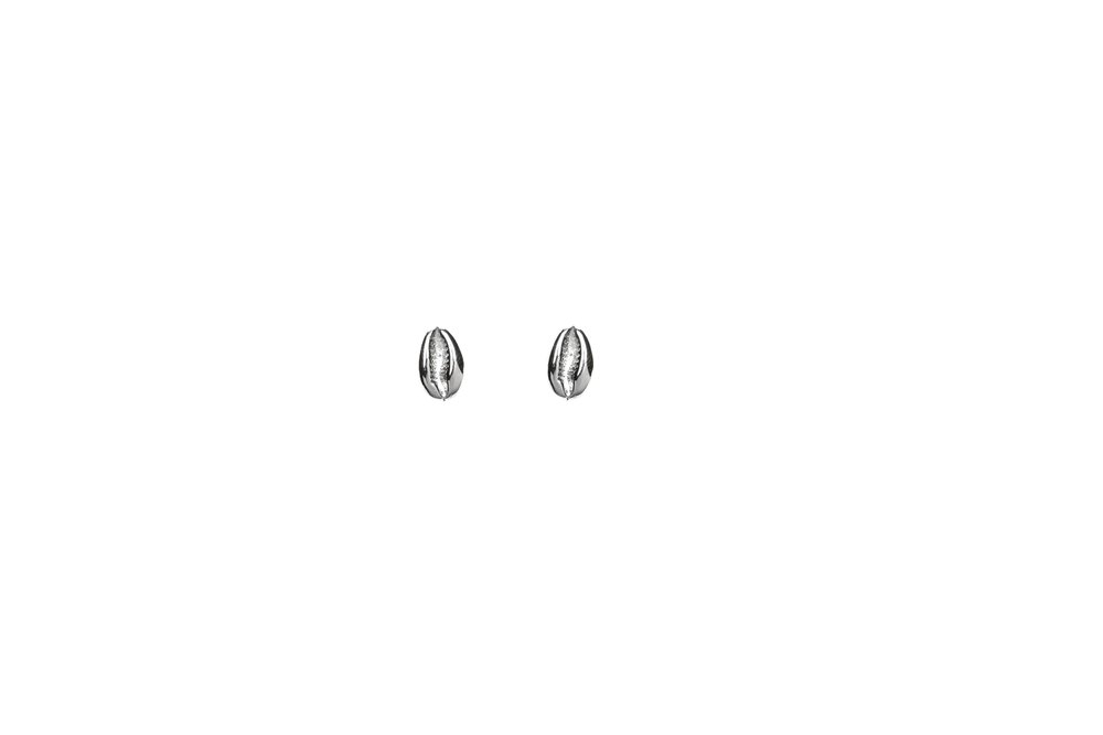 Mini Ocean Cowrie Shell studs