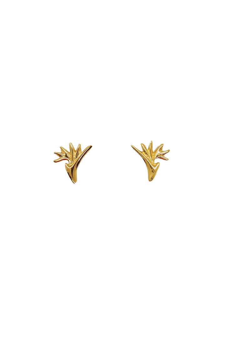 Bird of Paradise Flower studs