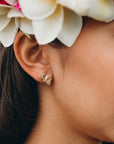 *BUNDLE + SAVE Kaila Conch Shell studs