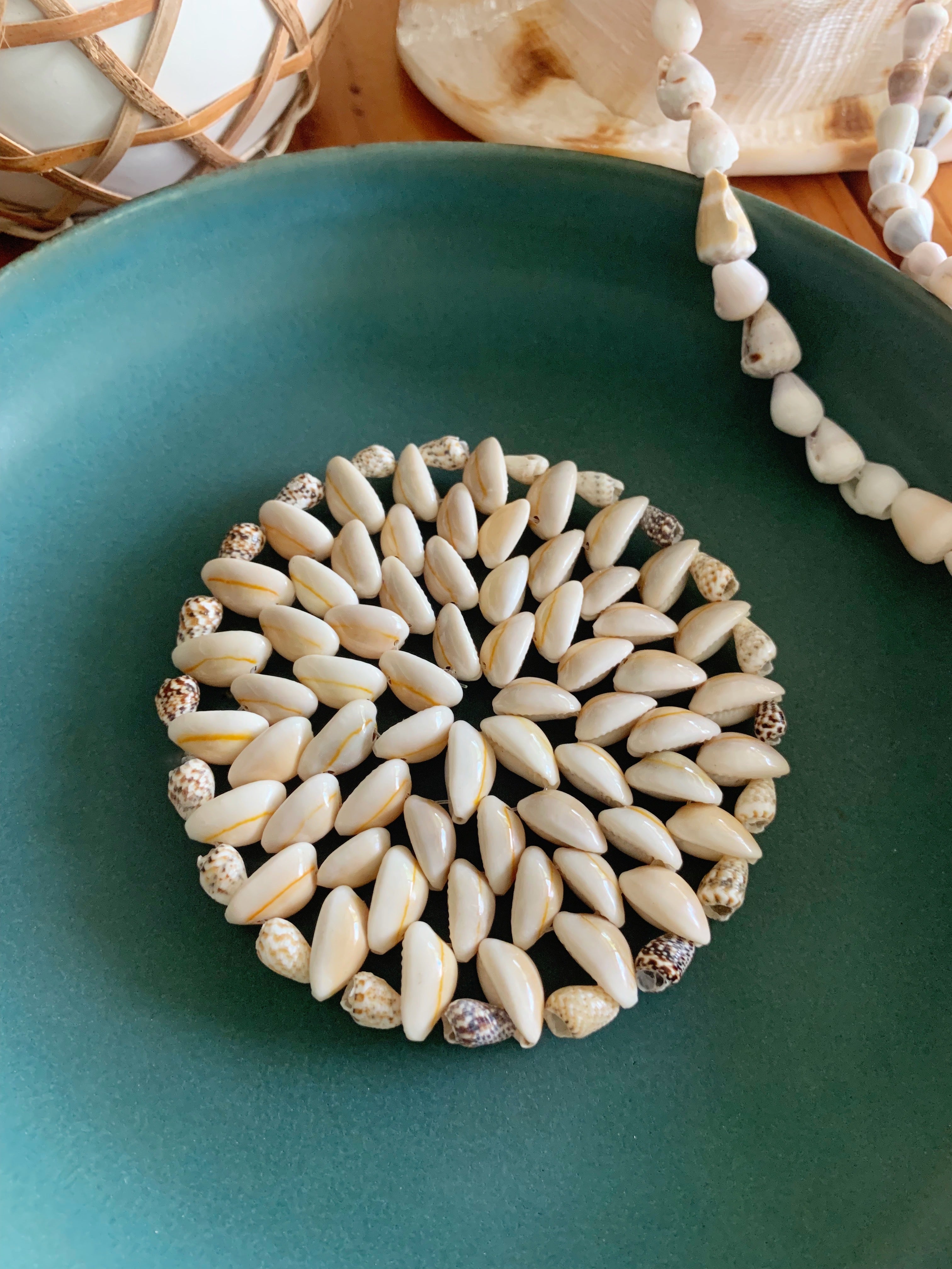 Paradise Seashell Coasters