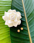 Kiele Gardenia studs