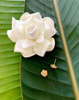 Kiele Gardenia studs