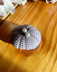 *LAST ONES White Freshwater Pearl studs