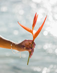 Aloha Hibiscus ring