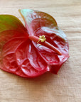 Melia Frangipani ring