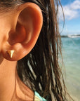 Teeny Shark's Tooth studs