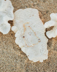 Mini Puka Shell bracelet
