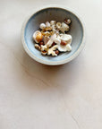 Forever Seashell ring