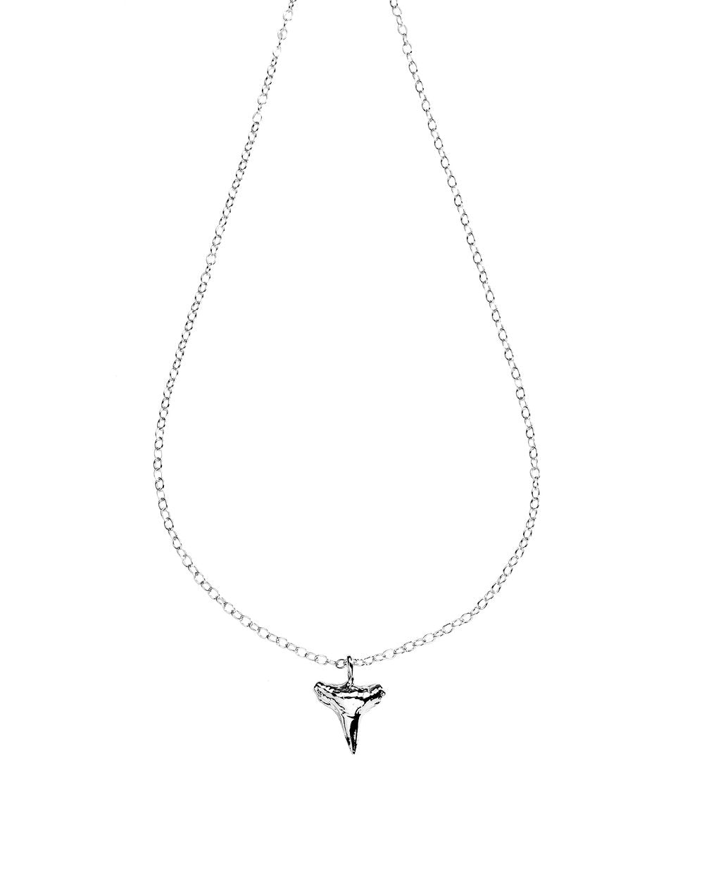 Small Shark&#39;s Tooth necklace
