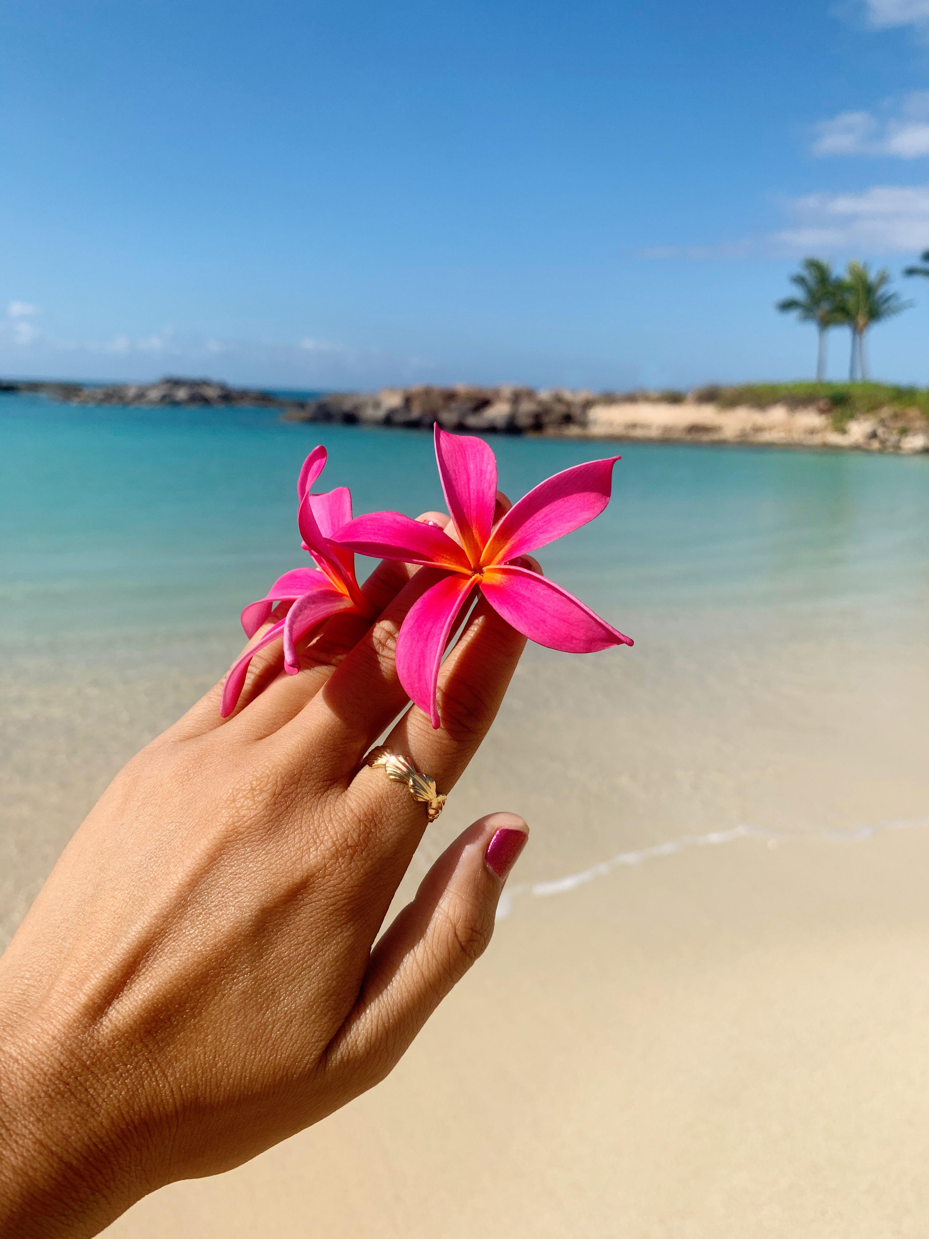 Forever Seashell ring